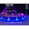 programmable magic digital led pixel strip